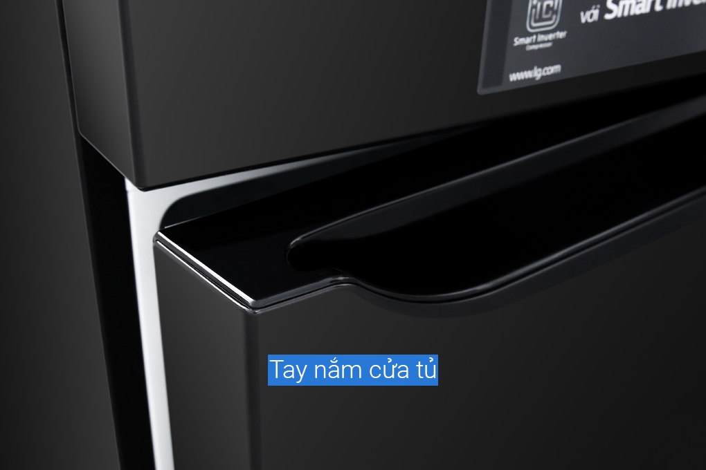 Tủ lạnh LG Inverter GN-M315BL (315 lít)