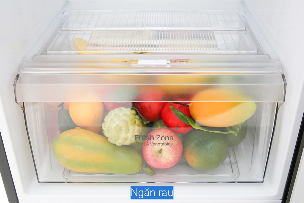 Tủ lạnh LG Inverter GN-M315BL (315 lít)