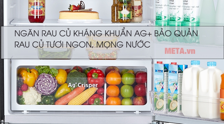 Tủ lạnh 2 cửa
