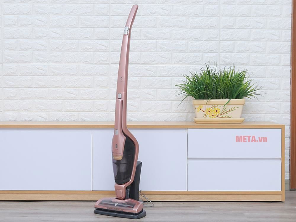 Máy hút bụi không dây Electrolux ZB3314AK