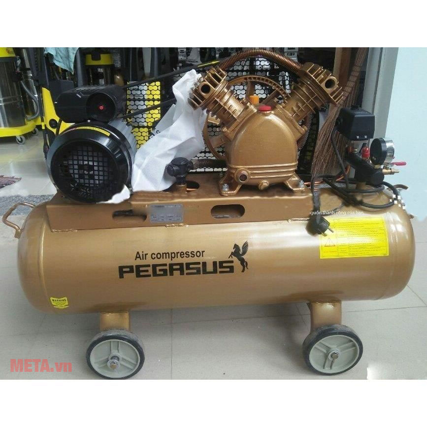 Máy nén khí Pegasus TM-V-0.17/8 (2HP)