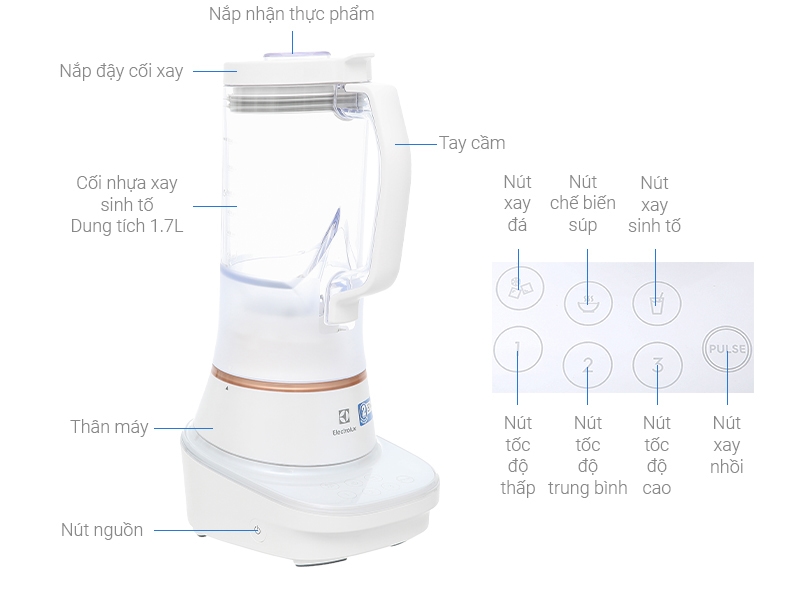 Máy xay sinh tố