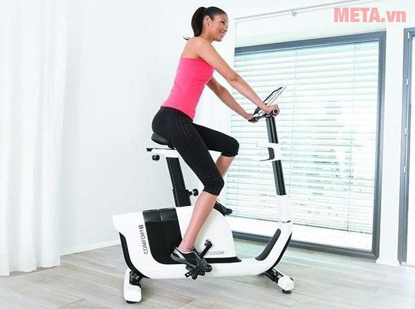 Xe đạp tập thể dục trong nhà Horizon Comfort 5