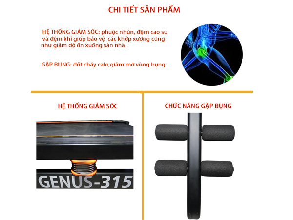 Máy chạy điện 4CN Genus-315IW