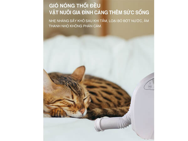 Máy sấy giày Tiross TS8830