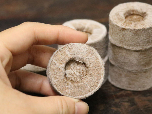 Túi xơ dừa trồng thủy canh (36 viên)