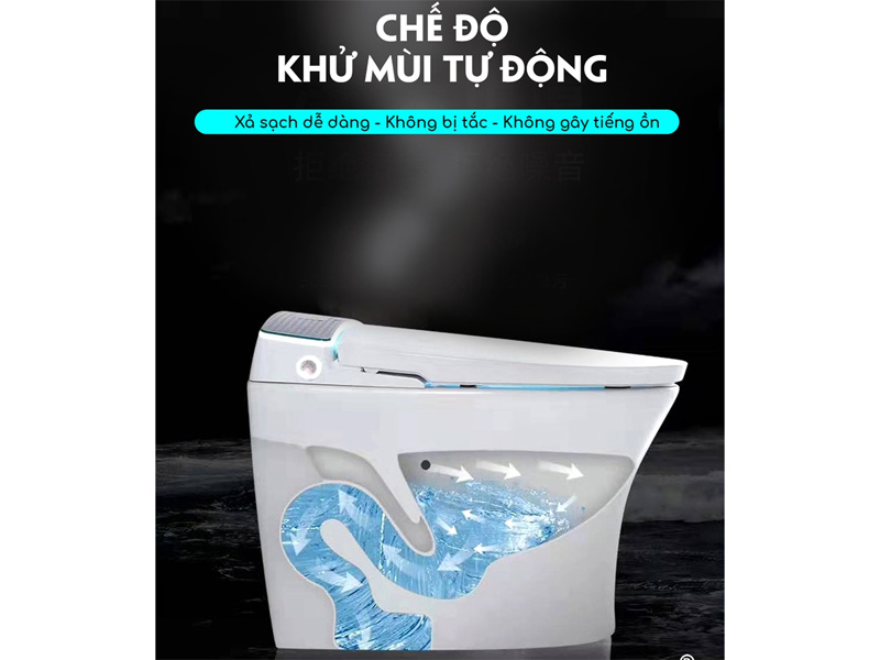 Bồn cầu thông minh Hiwin MT-666