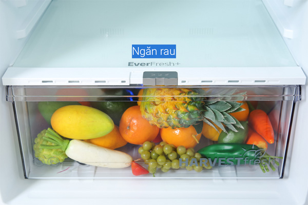 Tủ lạnh Beko RDNT401E50VZDK có ngăn rau riêng biệt