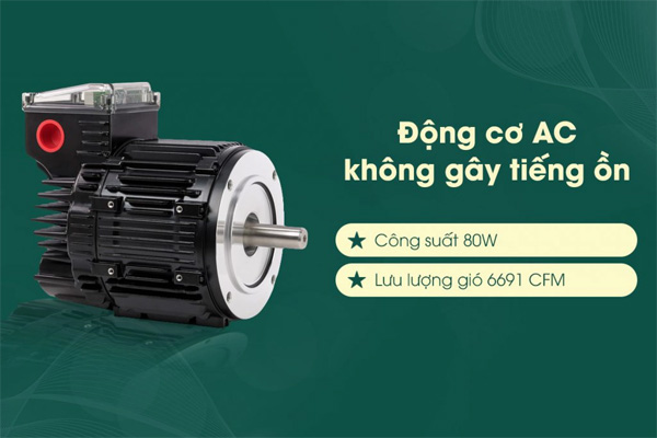 Quạt trần Hunter Builder Deluxe 50572
