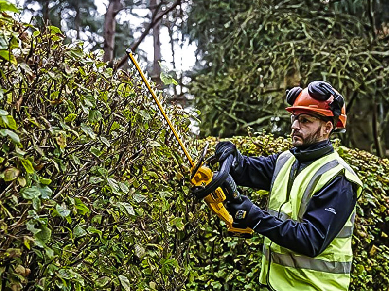 Thân máy tỉa hàng rào dùng pin 20V Max DeWalt DCMHT563N-XJ (chưa pin sạc)