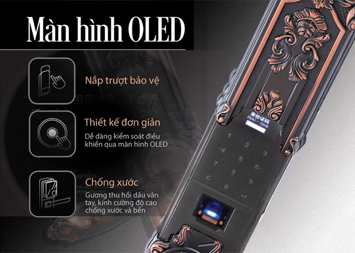 Màn hình OLED