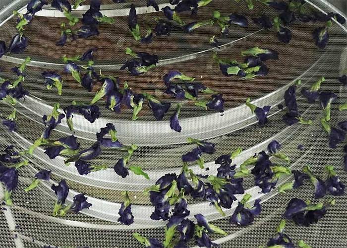 Máy sấy công nghiệp khay xoay tròn loại 10 khay GEC10