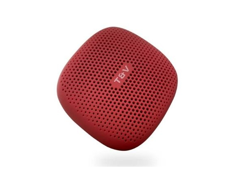 Loa Bluetooth Thonet & Vander Duett