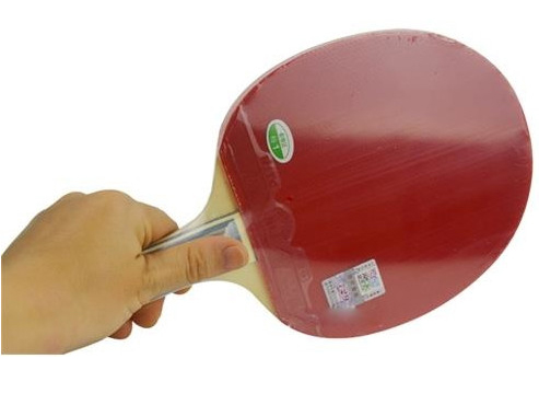 Vợt bóng bàn 729-1060