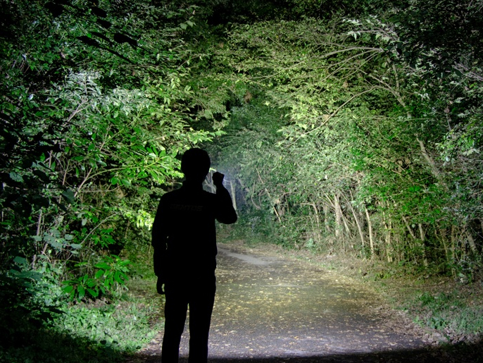 Đèn pin siêu sáng Gentos UT-1900R