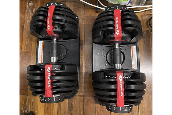 Bộ 2 tạ tay Bowflex 552 (47kg)