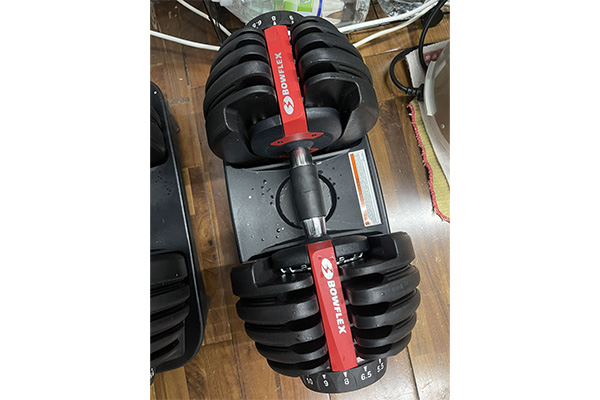 Bộ 2 tạ tay Bowflex 552 (47kg)