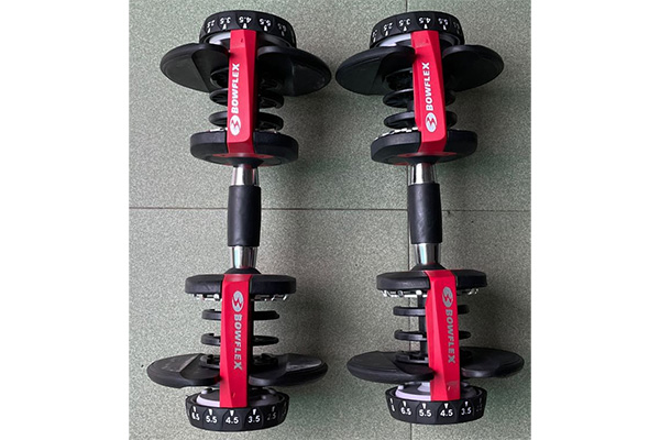 Bộ 2 tạ tay Bowflex 552 (47kg)