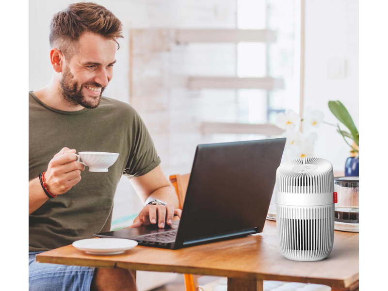 Máy lọc không khí Boneco P130