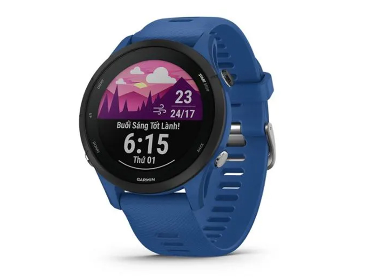 Garmin Forerunner 255 (010-02641)