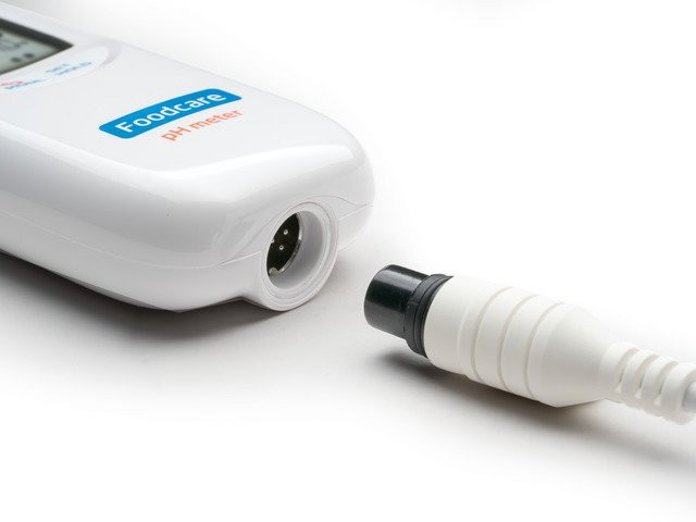Máy đo pH, nhiệt độ trong thịt Hanna HI99163