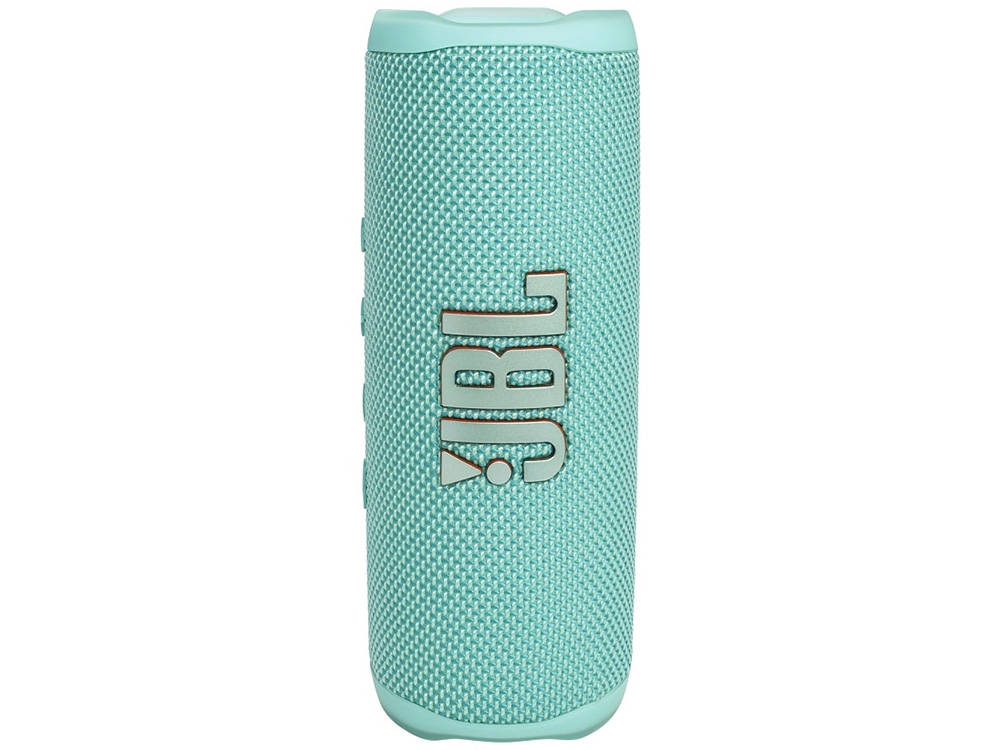 Loa Bluetooth JBL Flip 6