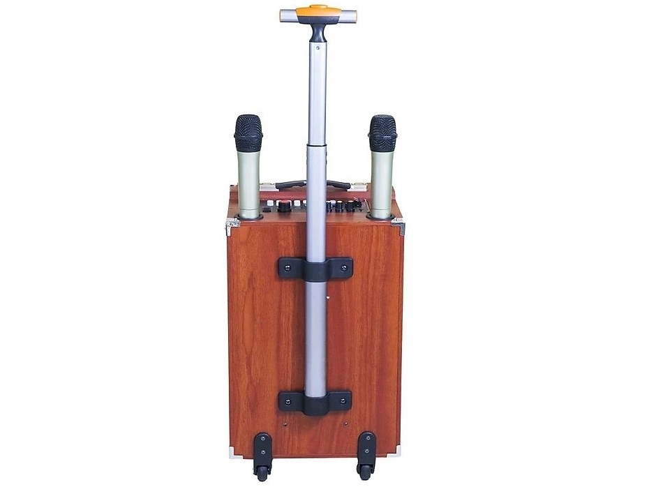 Loa kéo karaoke Ladomax K-S252