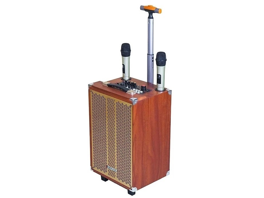 Loa kéo karaoke Ladomax K-S252