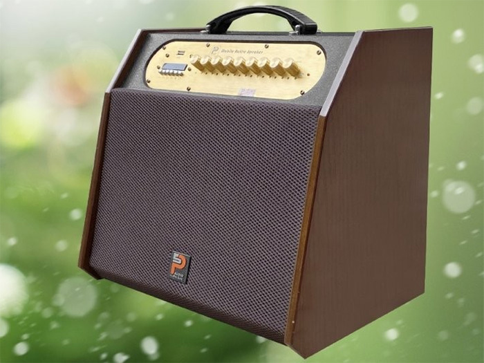 Loa di động Karaoke xách tay Prosing W8 Rapper