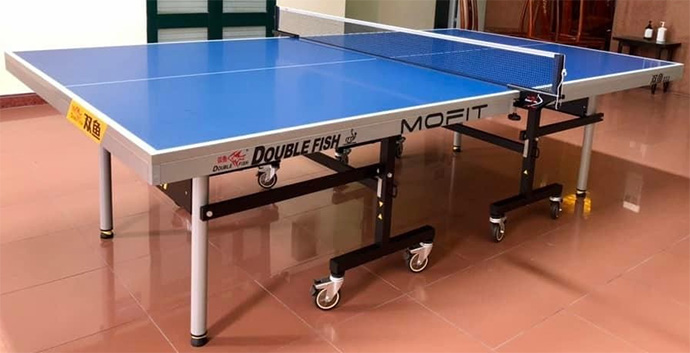 Bàn bóng bàn Double Fish DF-233
