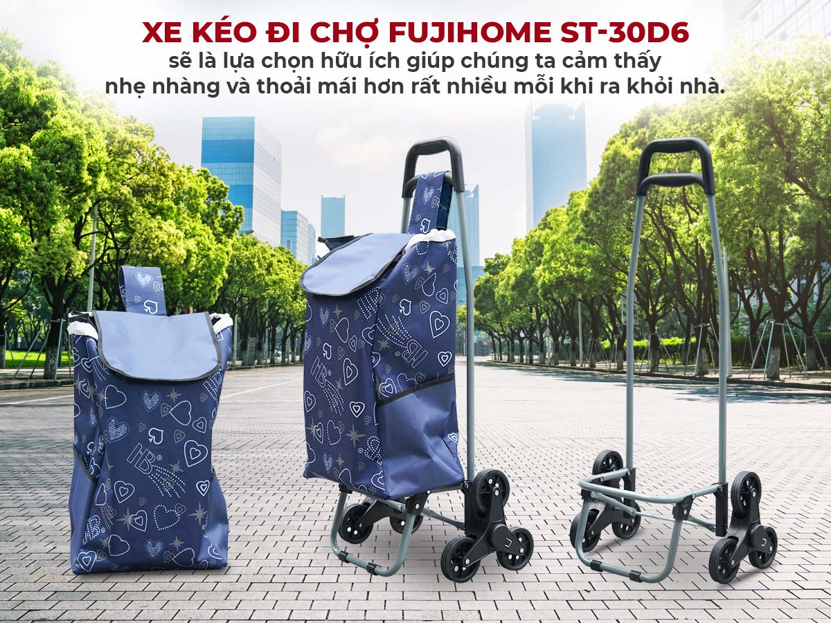 Xe kéo đi chợ leo cầu thang kèm túi FujiHome ST-30D6