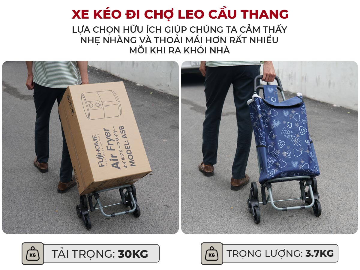 Xe kéo đi chợ leo cầu thang kèm túi FujiHome ST-30D6
