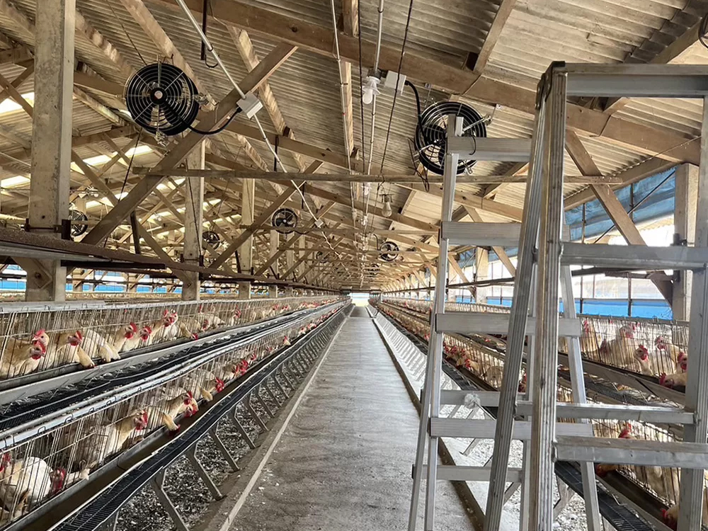 Quạt làm mát công nghiệp ITA-14