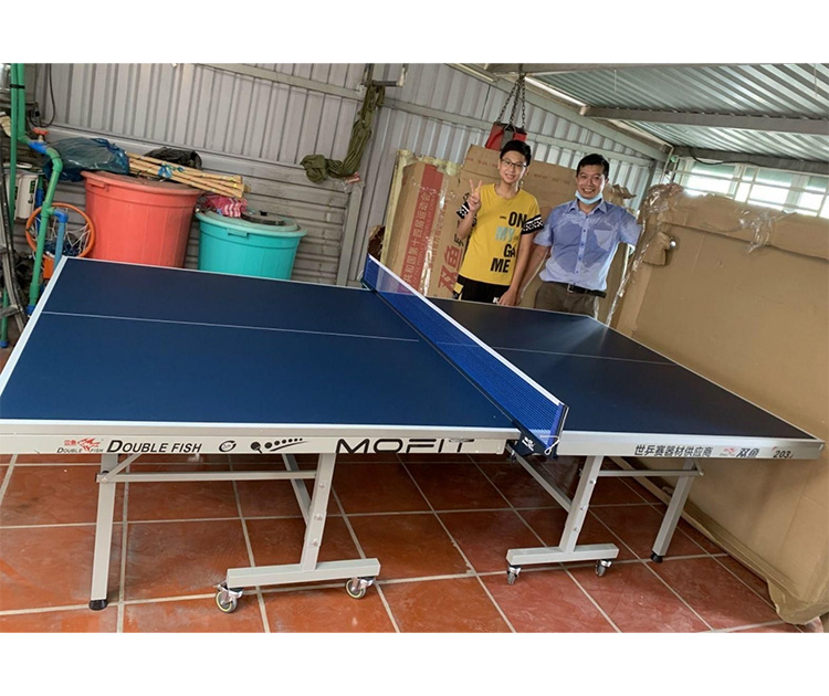 Bàn bóng bàn Double Fish 203M-2