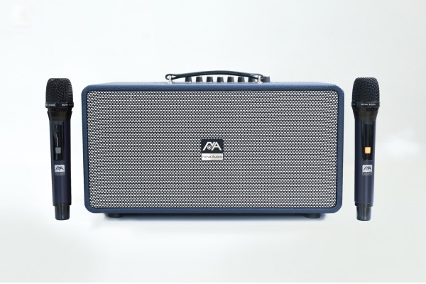 Loa karaoke di động Nova Audio PRO-160V