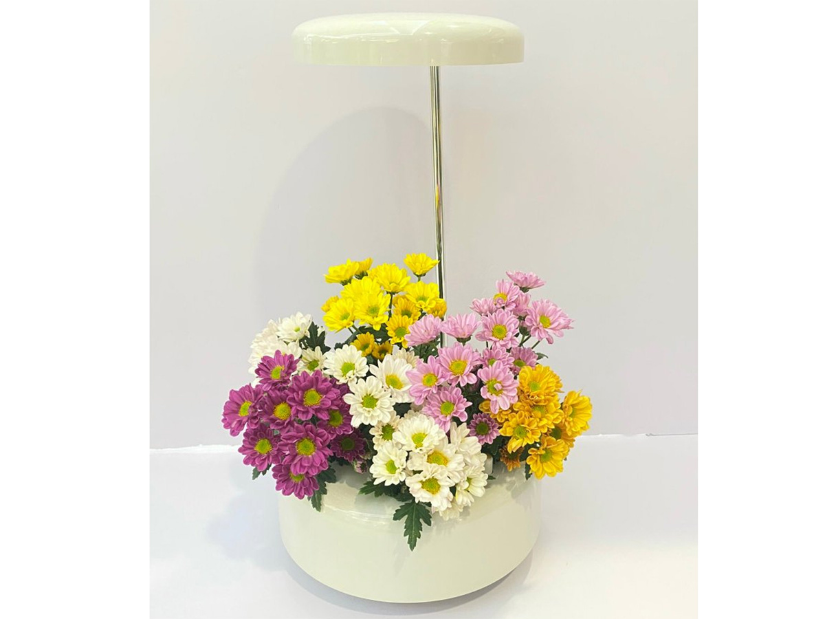 Máy trồng cây thủy sinh Wells Florin