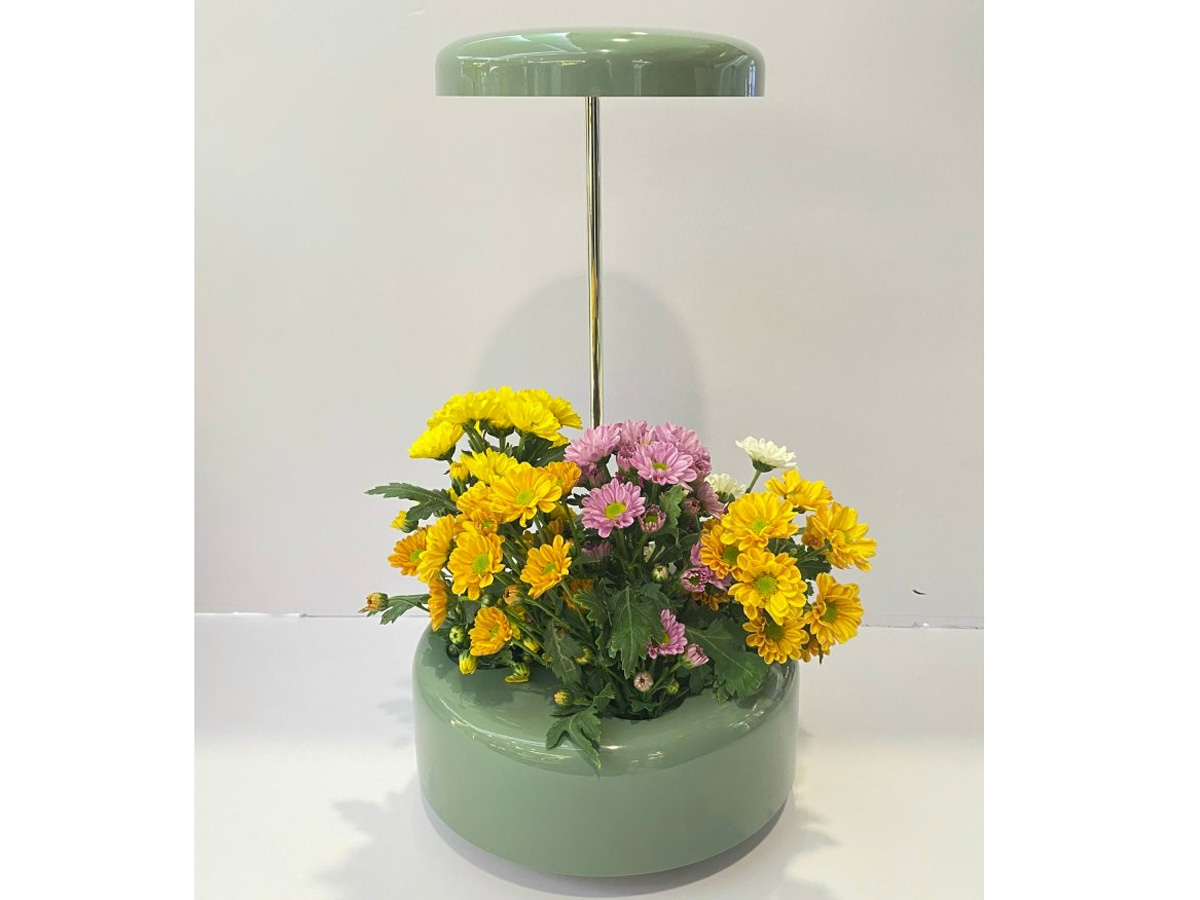 Máy trồng cây thủy sinh Wells Florin