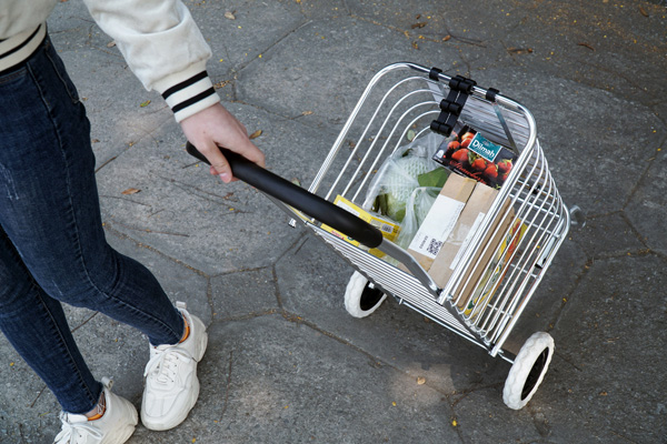 Xe kéo đi chợ đa năng Fujihome SC-250