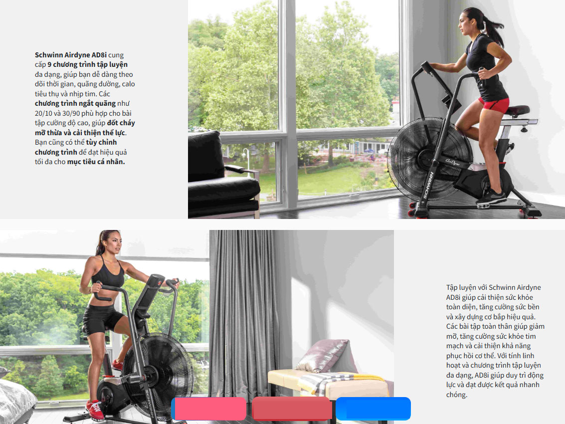 Xe đạp tập Airbike Schwinn Airdyne AD8i