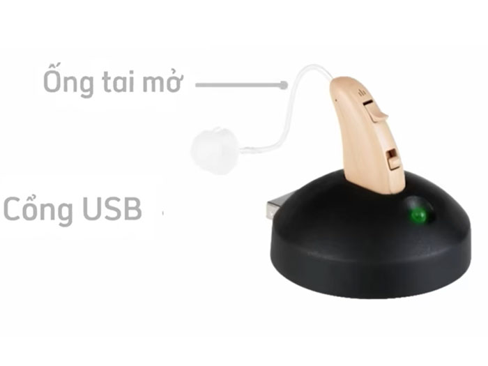 Máy trợ thính gài tai Oromi JH-D12