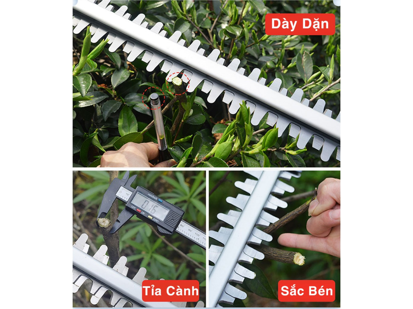 Máy cắt tỉa hàng rào, cây cảnh Workfix WF-HT20