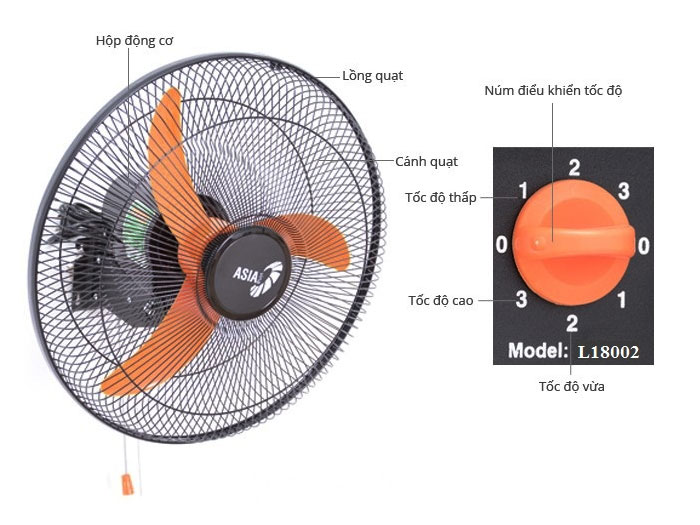 Quạt treo tường Asia VY557990 55W