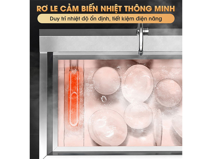 Máy rửa bát siêu âm chậu đôi NewSun NS-1800