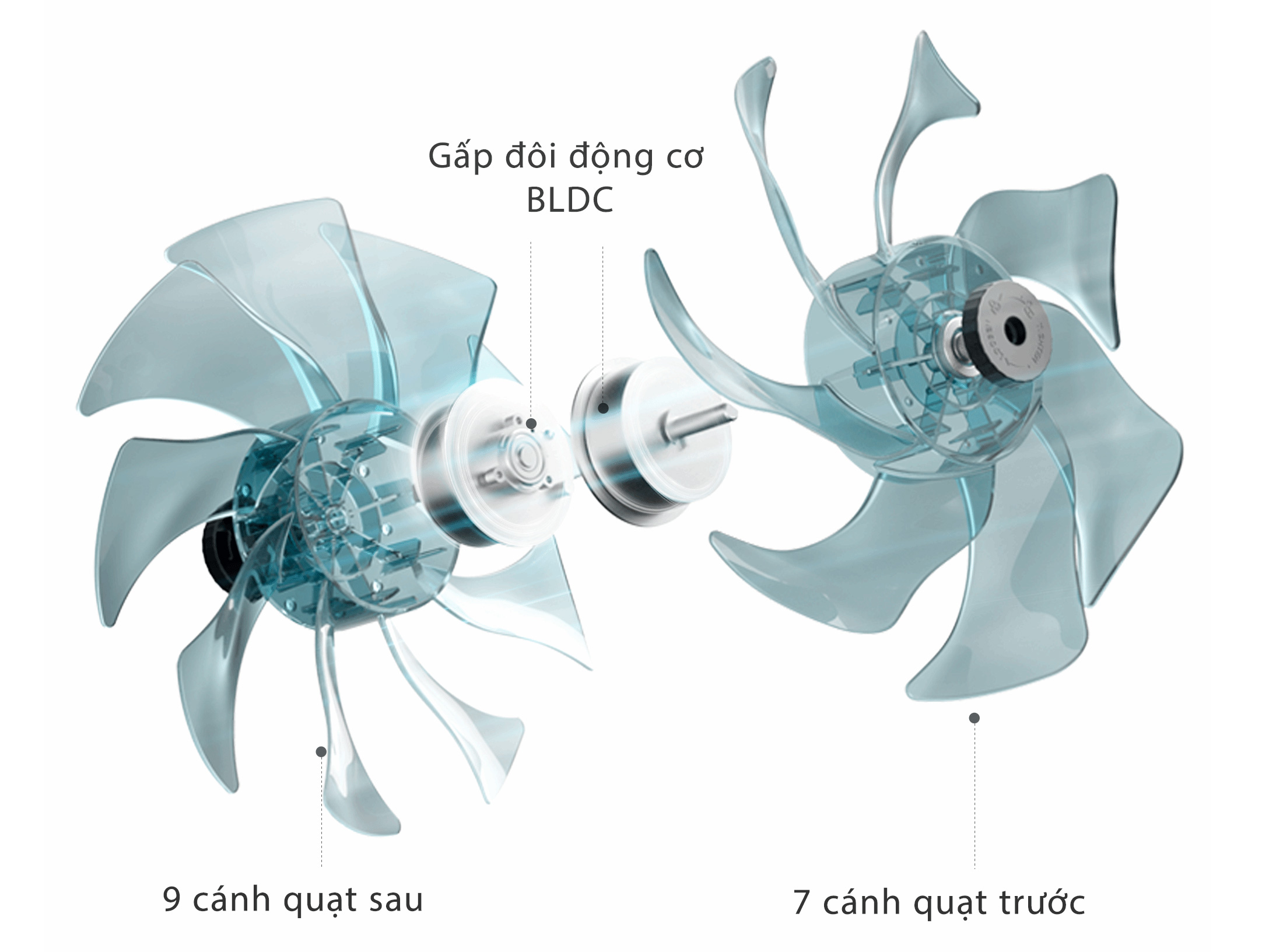 Quạt tuần hoàn Toshiba F-DSC80XVN (7 cánh trước, 9 cánh sau, 25W)