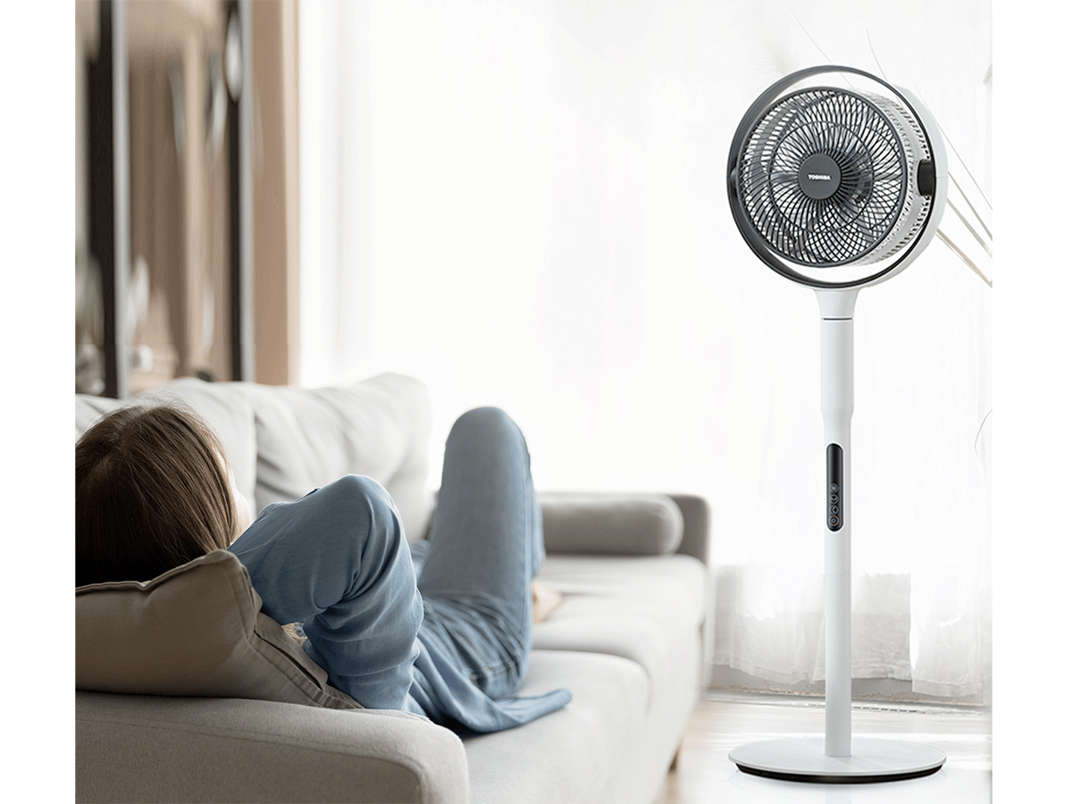 Quạt tuần hoàn Toshiba F-DSC80XVN (7 cánh trước, 9 cánh sau, 25W)