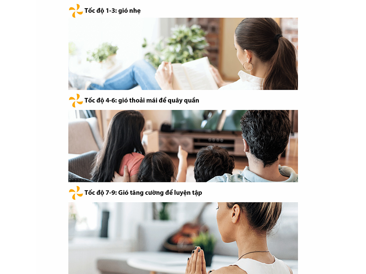 Quạt tuần hoàn Toshiba F-DSC80XVN (7 cánh trước, 9 cánh sau, 25W)