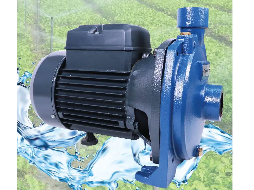 Máy bơm nước Panasonic GP-15HCN1SVN (1.110W)