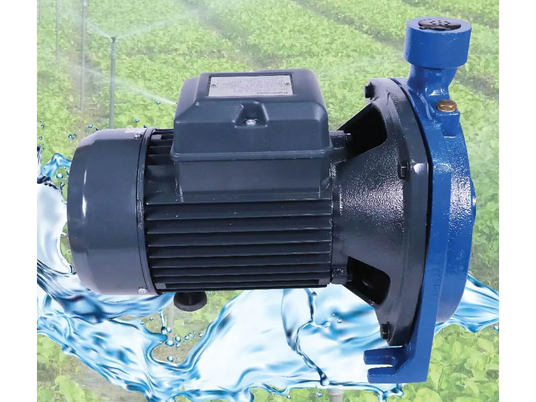 Máy bơm nước Panasonic GP-20HCN1SVN (1.480W)