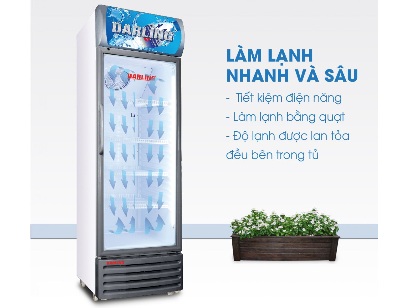 Tủ mát Darling 360 lít DL-3600A Kính LOW-E