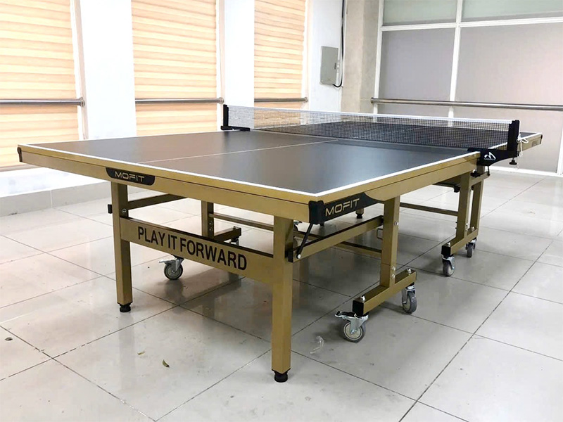 Bàn bóng bàn Mofit Sport MP99